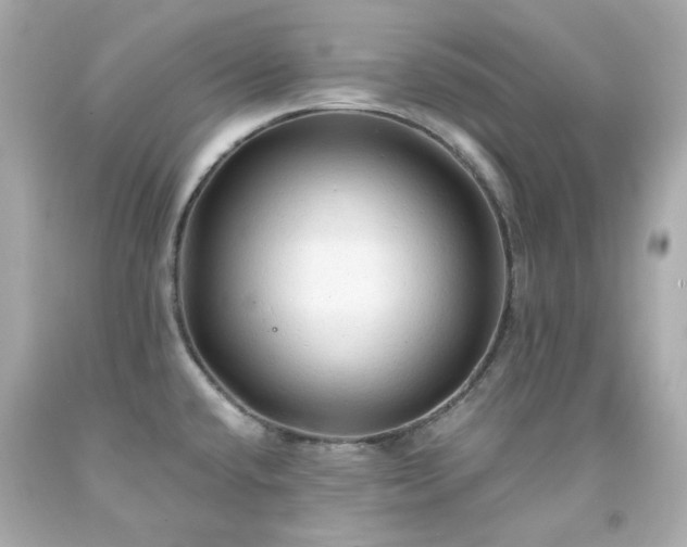 X0000091941432200709121610