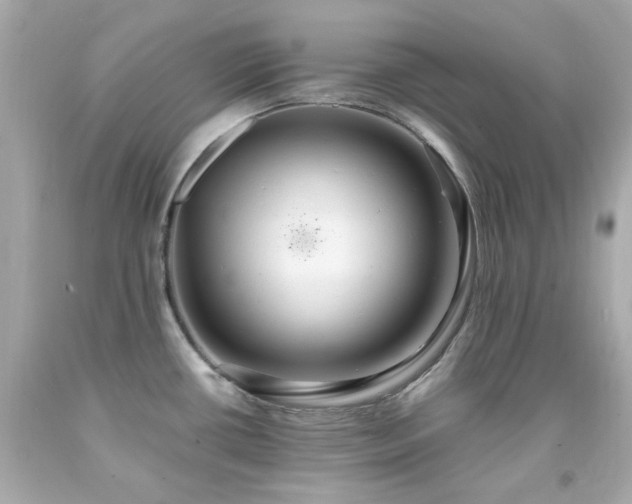 X0000091941434200709121610