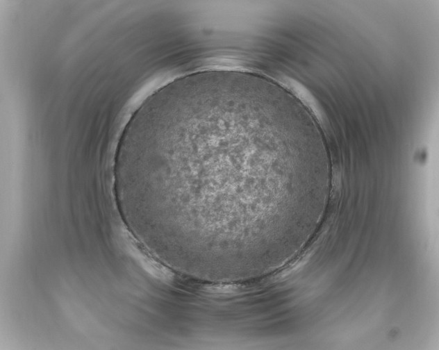 X0000091941435200709121610