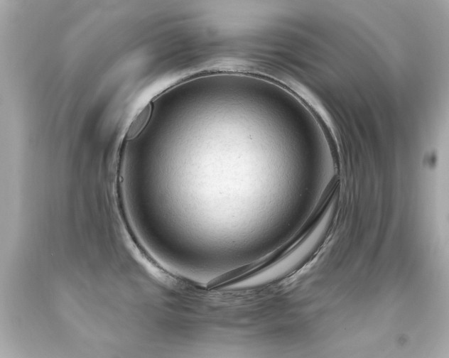 X0000091941437200709121610