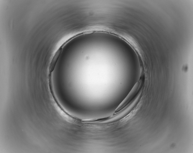 X0000091941438200709121610