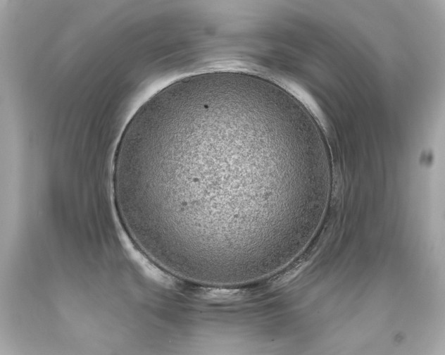 X0000091941439200709121610