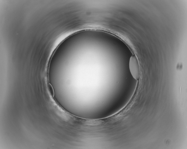 X0000091941440200709121610