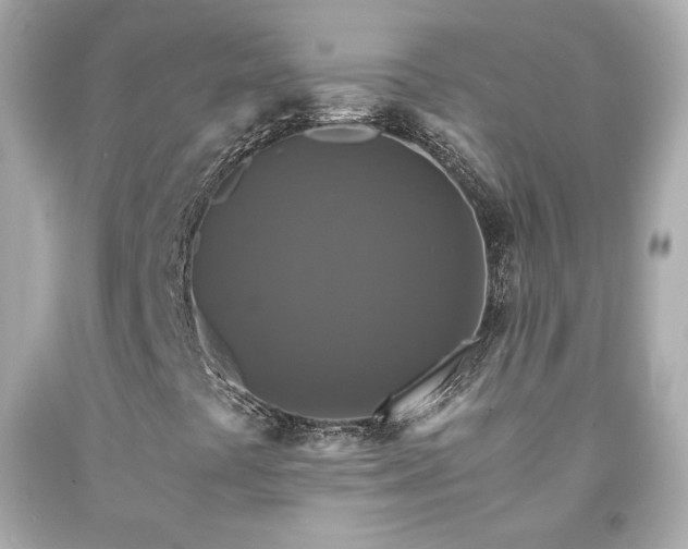 X0000091941441200709121610