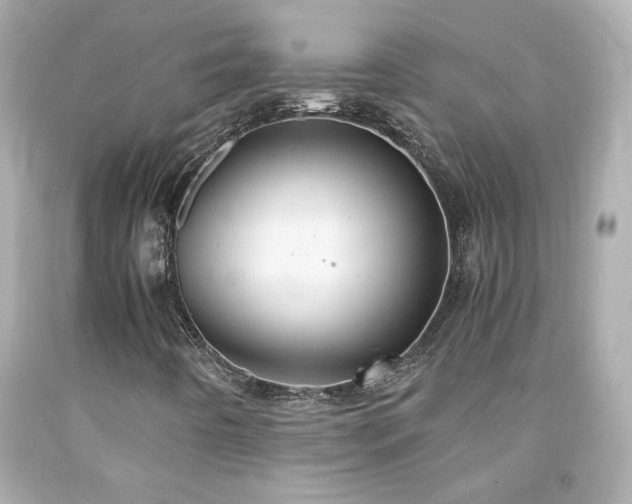 X0000091941442200709121610