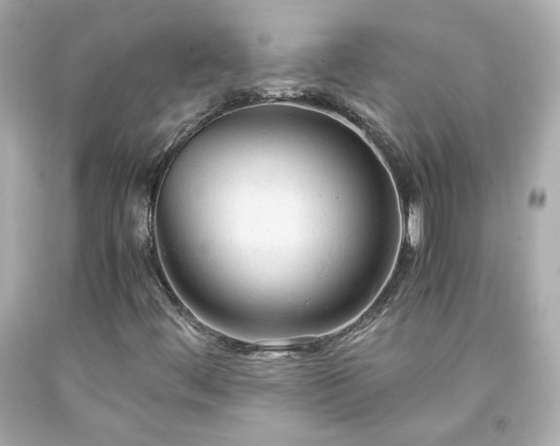 X0000091941444200709121610