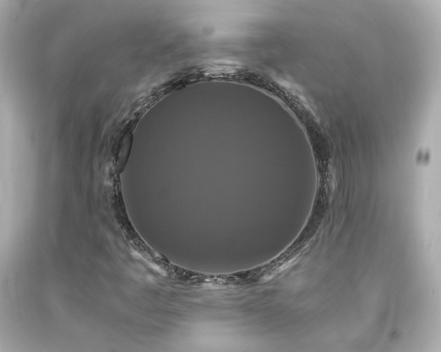 X0000091941445200709121610