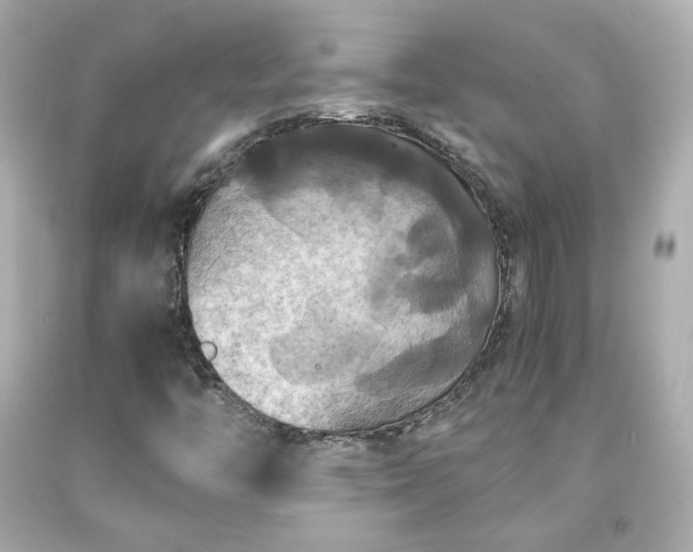 X0000091941446200709121609