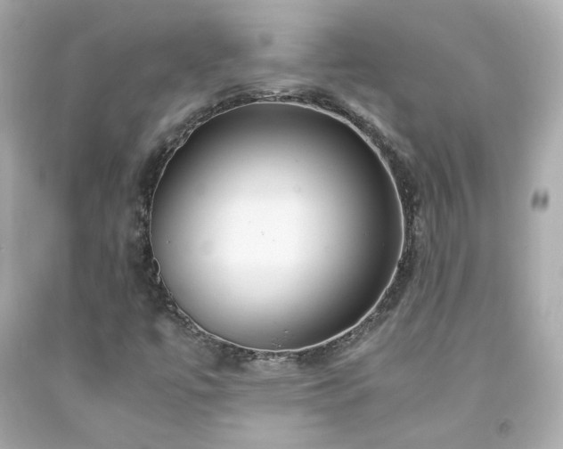 X0000091941447200709121609