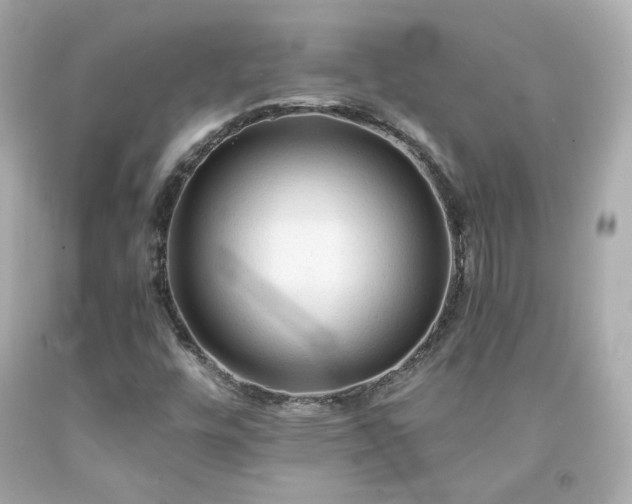 X0000091941448200709121609