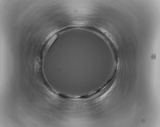 X0000091941449200709121609