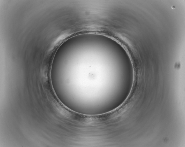 X0000091941451200709121609