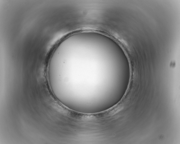 X0000091941454200709121609