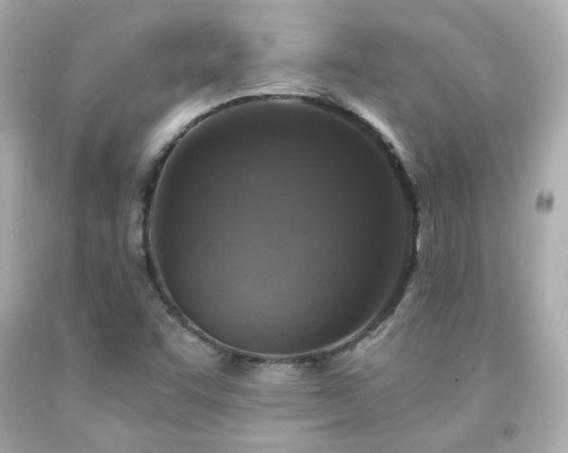 X0000091941455200709121609