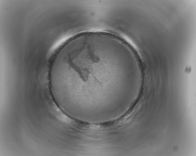 X0000091941456200709121609