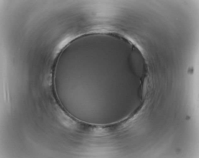 X0000091941459200709121609