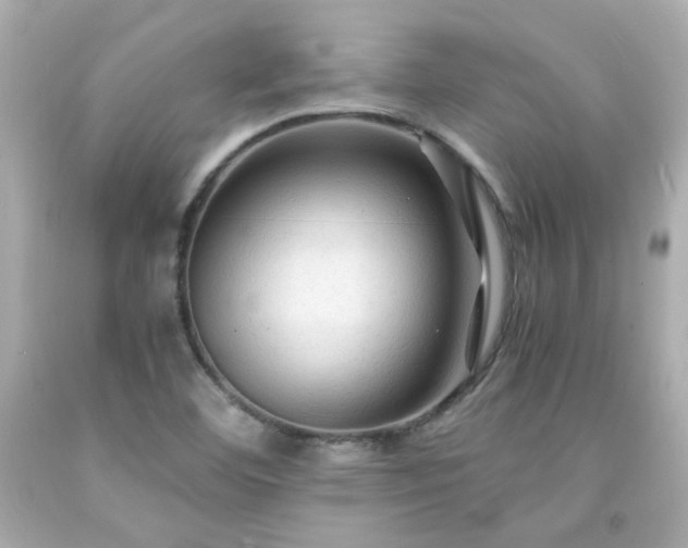 X0000091941460200709121609