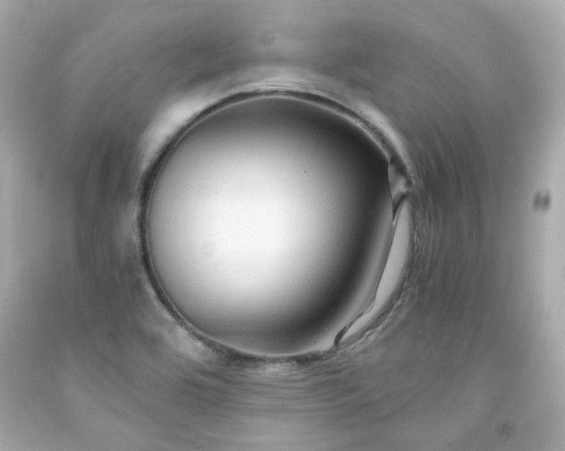 X0000091941464200709121609