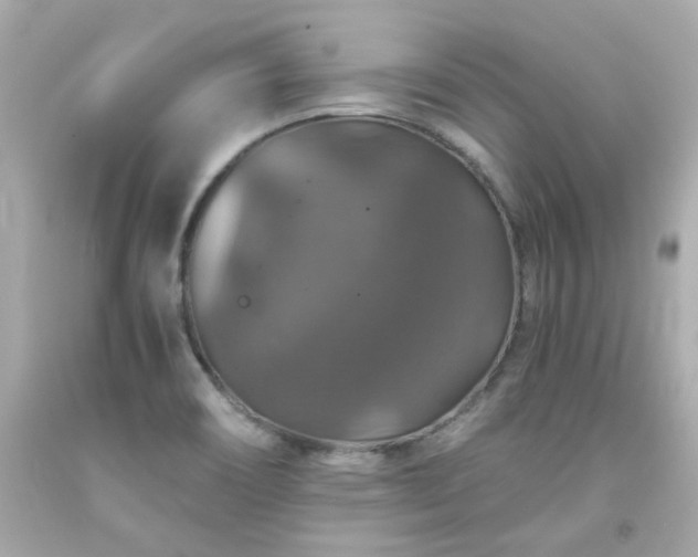 X0000091941466200709121609