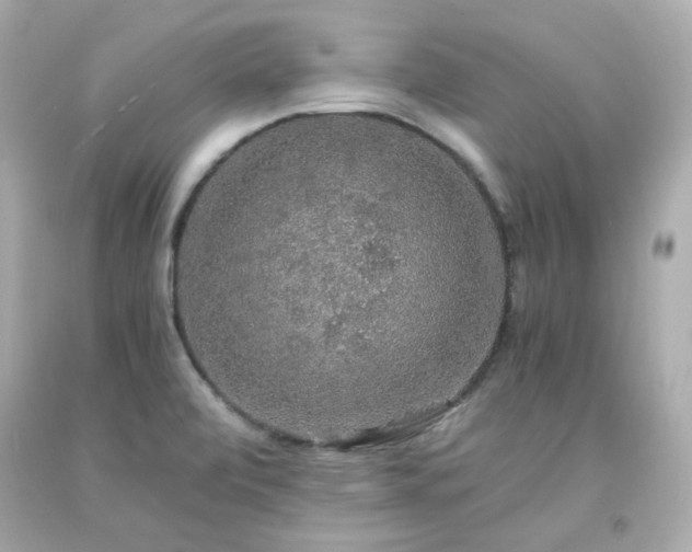 X0000091941472200709121609