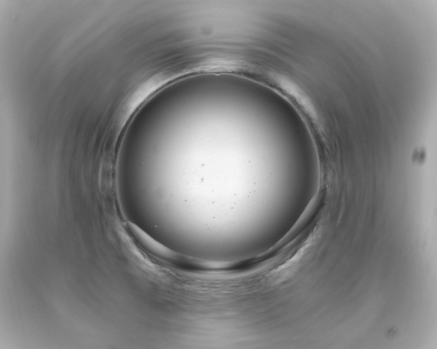 X0000091941473200709121609