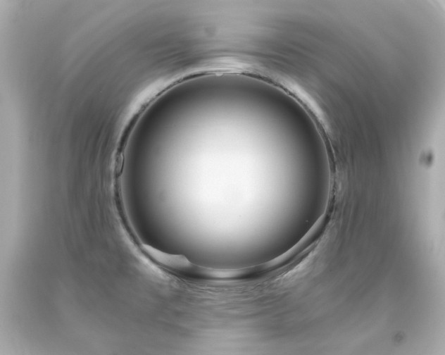 X0000091941477200709121609