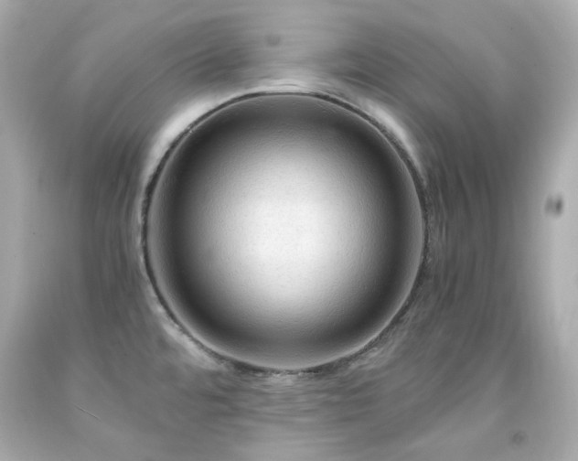 X0000091941480200709121609