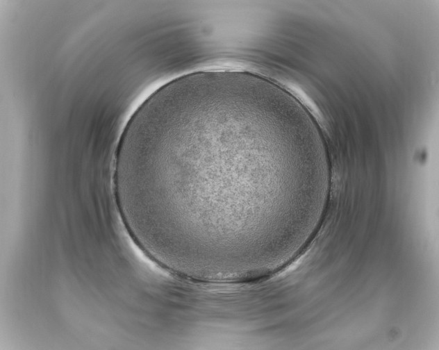 X0000091941484200709121609