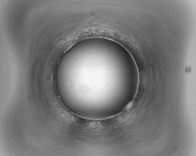 X0000091941489200709121608