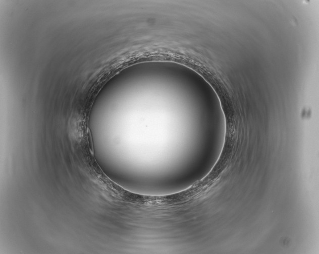 X0000091941490200709121608