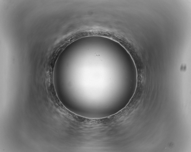 X0000091941493200709121608