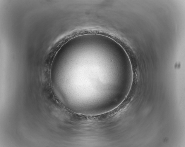 X0000091941494200709121608