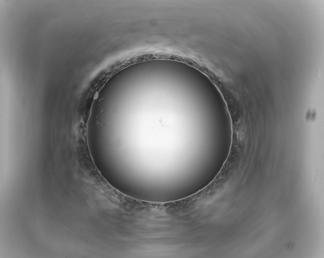 X0000091941495200709121608