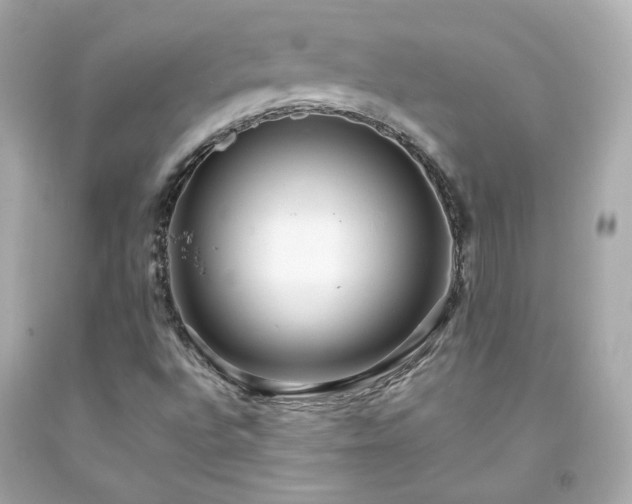 X0000091941496200709121608