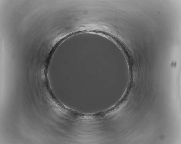 X0000091941497200709121608