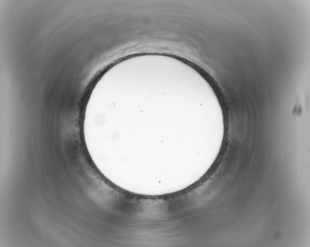 X0000091941498200709121608