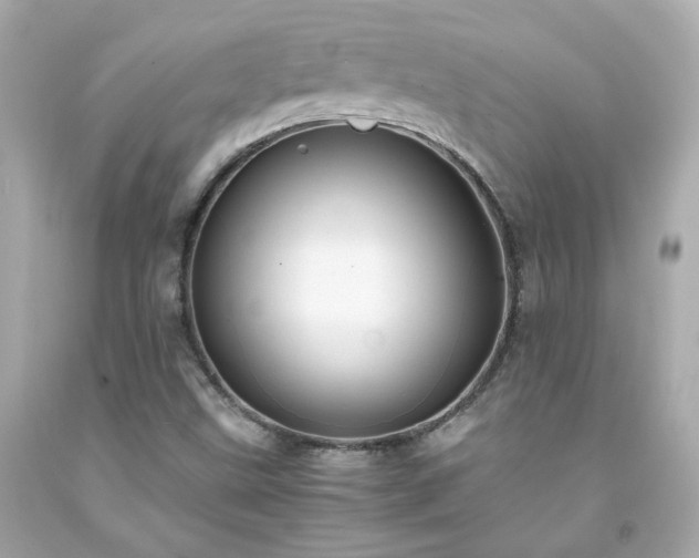 X0000091941499200709121608