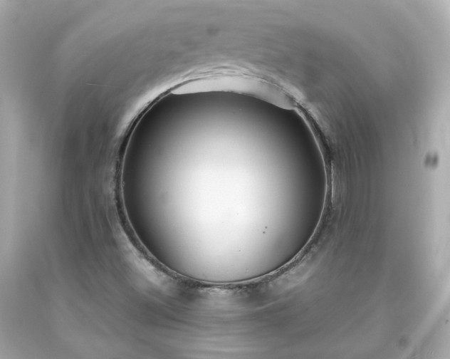 X0000091941500200709121608