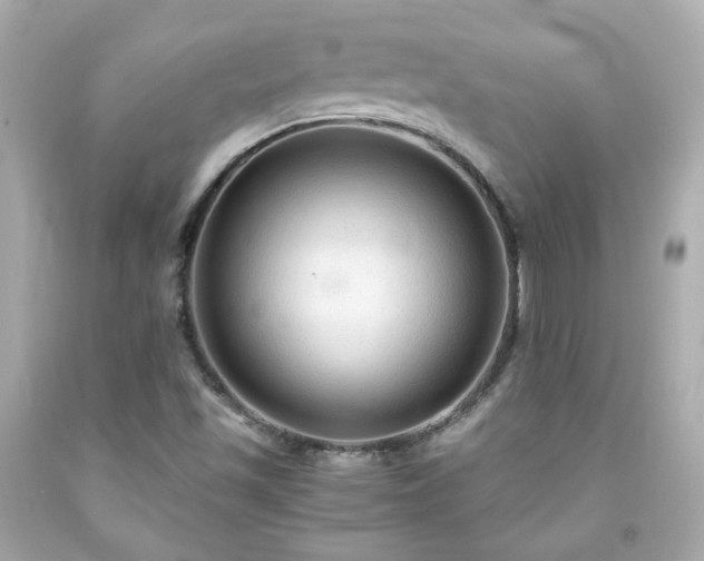 X0000091941501200709121608