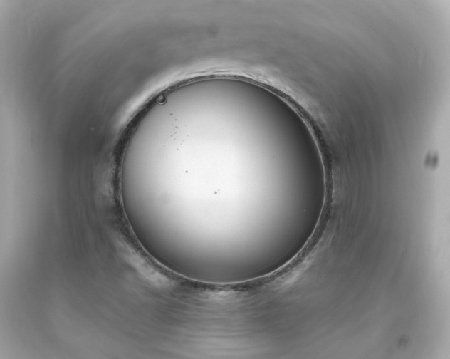 X0000091941502200709121608