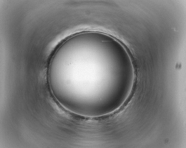 X0000091941503200709121608