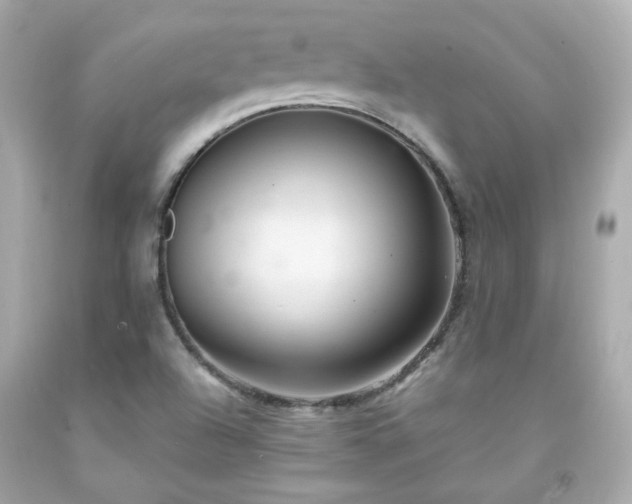 X0000091941504200709121608