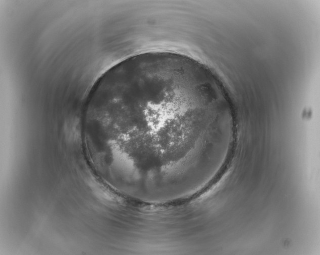 X0000091941505200709121608