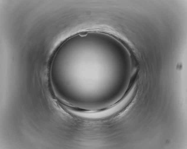 X0000091941506200709121608