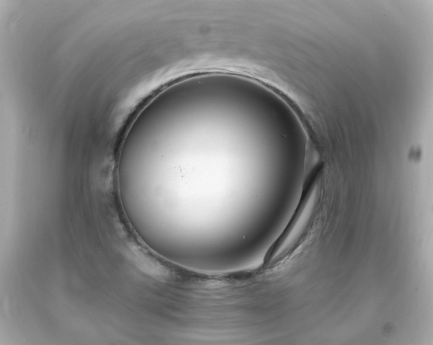 X0000091941507200709121608