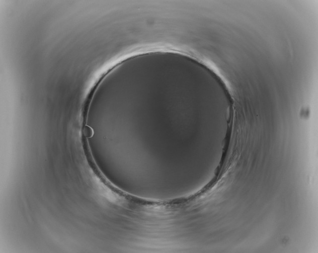 X0000091941508200709121608