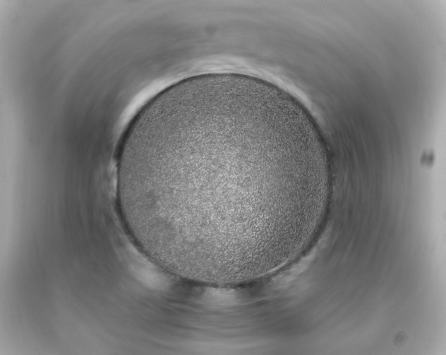 X0000091941509200709121608