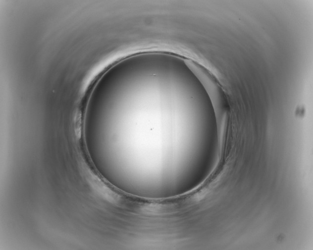 X0000091941510200709121608