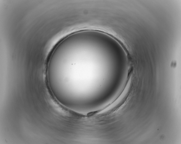 X0000091941511200709121608