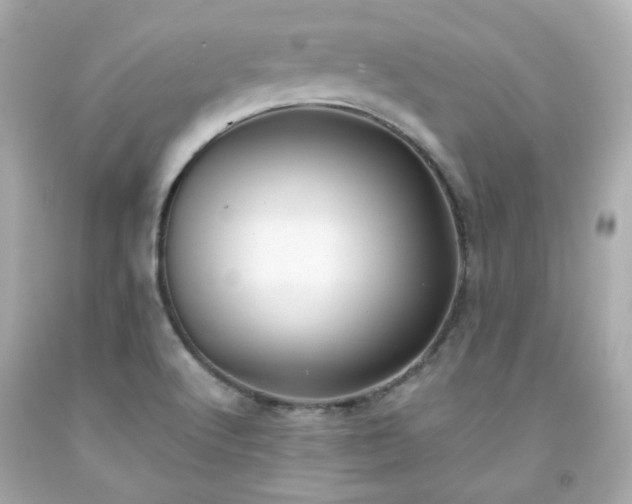 X0000091941512200709121608